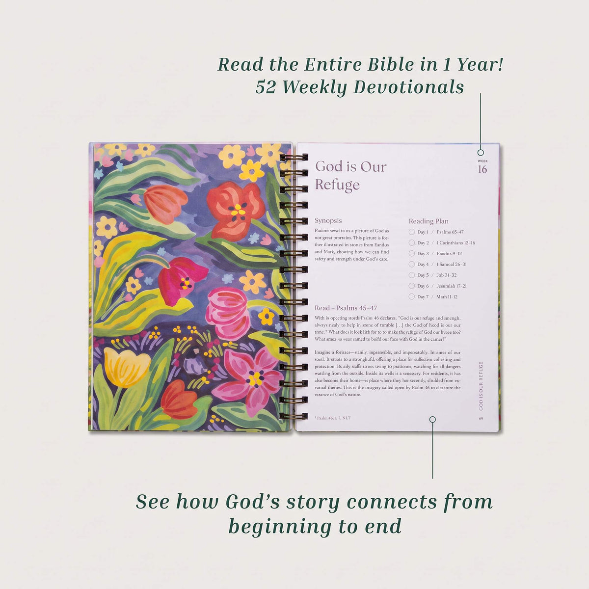 Bible In A Year: 52-Week Study VIP